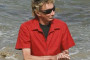BARRY MANILOW UNDERGOING PLASTIC SURGERY TO BECOME RARE SEABIRD.