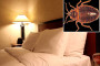 BED BUGS - The Dirtiest Hotels in the USA.