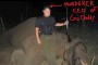 BOYCOTT GO DADDY -- CEO BOB PARSONS ELEPHANT KILLER!
