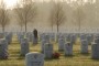 Bald Eagle on Soldier's Grave -- Facebook HOAX