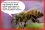The Dead Honeybee Hoax.  All This Buzz About NOTHING!