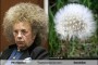 WARDEN FEARS, "PHIL SPECTOR COULD BLOW OUT OF PRISON IN SPRINGTIME"