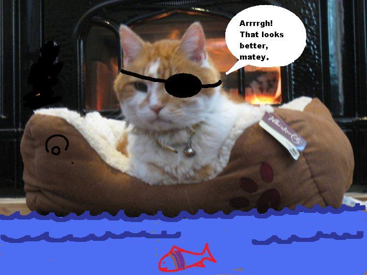 Somalian Alley Cat Pirates Take Hostages and Burn Ships.