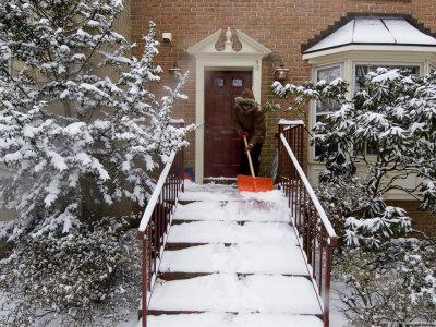 Liza Minelli shovels snow with David Furnish.