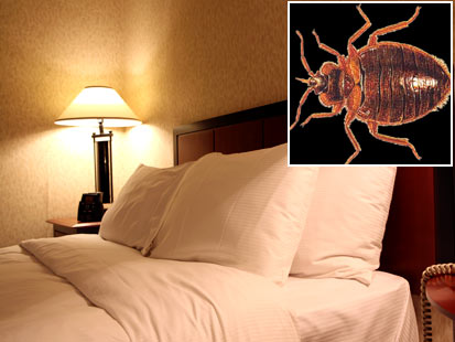 BED BUGS – The Dirtiest Hotels in the USA.