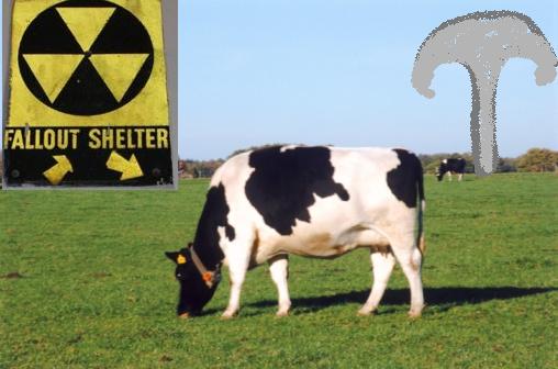 Radiation Spreads To Farms.  Milk Contaminated