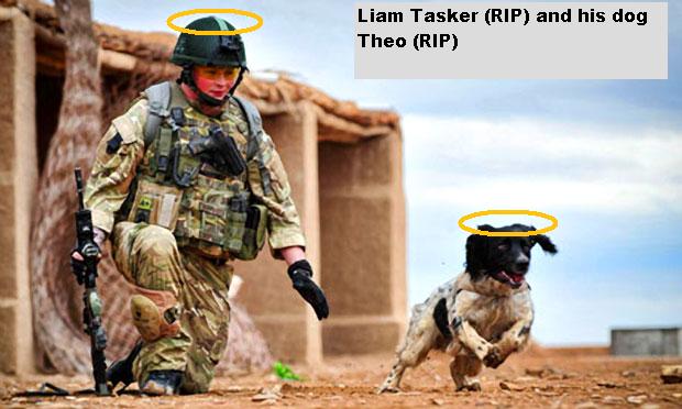 Dead Soldier’s dog dies of a broken heart in Afghanistan.