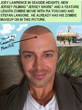 Insiders say:  “Joey Lawrence to appear in “Jersey Shore” and Pia Toscano movie”!!!!