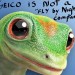 Should I Switch To Geico?  The answer might surprise you.
